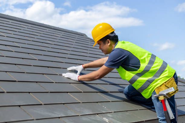 Best Metal Roofing Contractor  in Spring Creek, NV