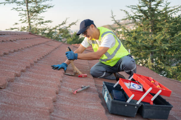 Residential Roof Replacement in Spring Creek, NV
