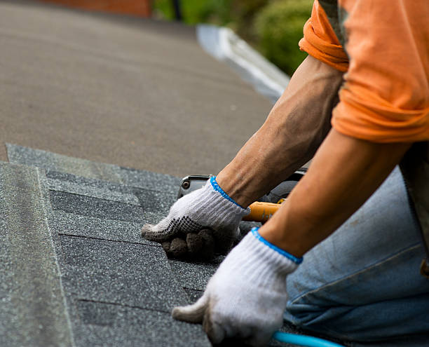 Best New Roof Installation  in Spring Creek, NV