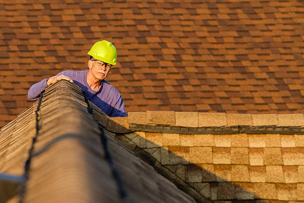 Best Roof Gutter Cleaning  in Spring Creek, NV