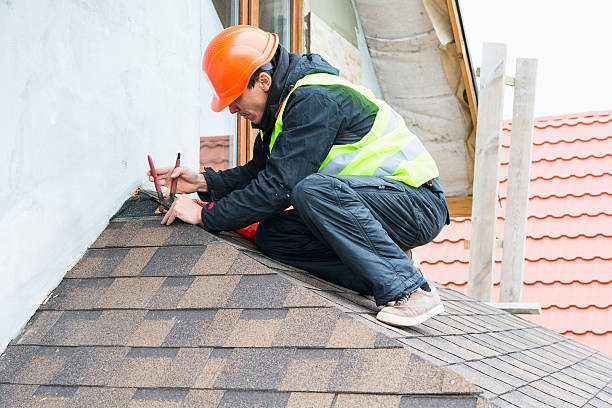 Best Roof Restoration Services  in Spring Creek, NV