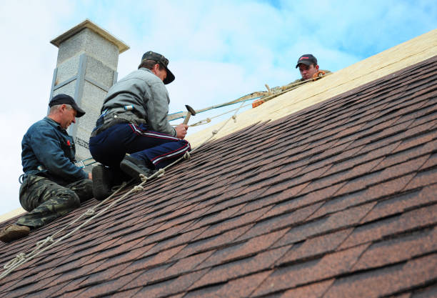 Best New Roof Installation  in Spring Creek, NV